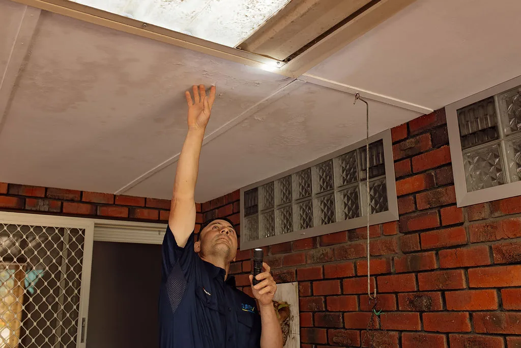 Anthony Capasso checking the underside of exterior eaves
