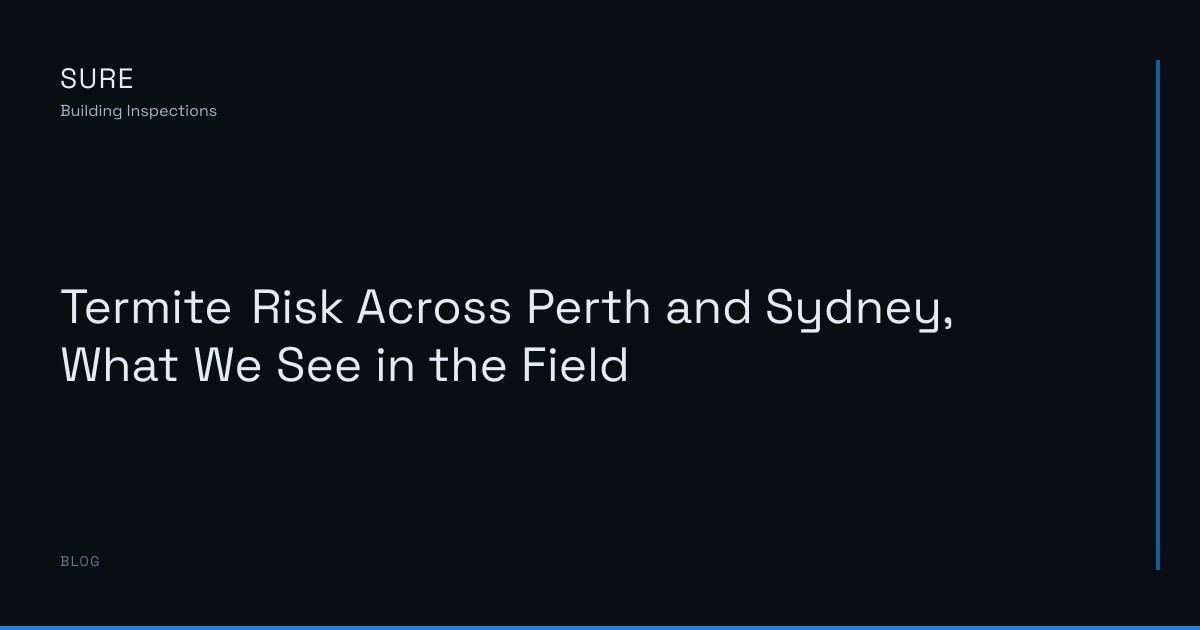 Termite Risk Across Perth and Sydney, What We See in the Field
