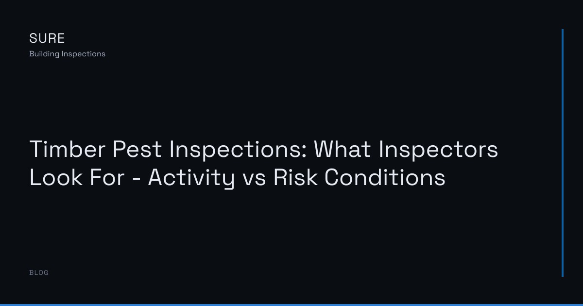 Timber Pest Inspections: What Inspectors Look For - Activity vs Risk Conditions