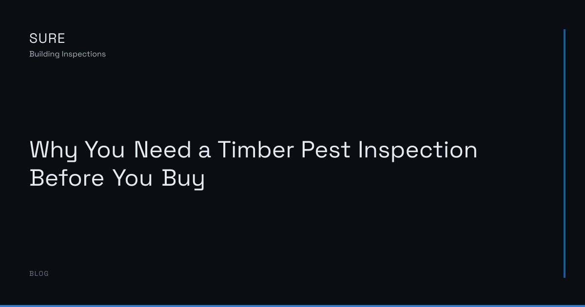 Why You Need a Timber Pest Inspection Before You Buy